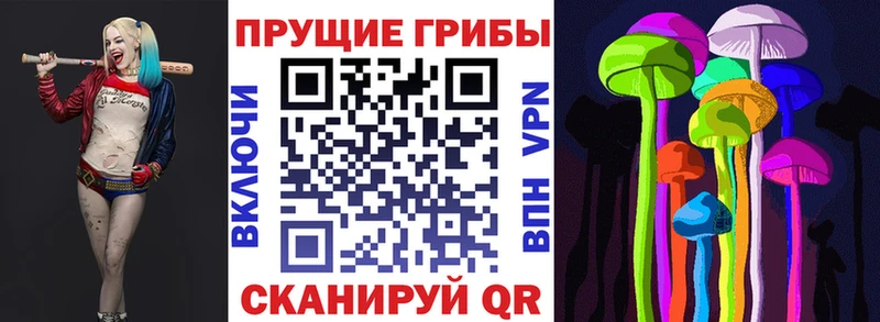 Псилоцибиновые грибы ЛСД  Купить где  Каргат 